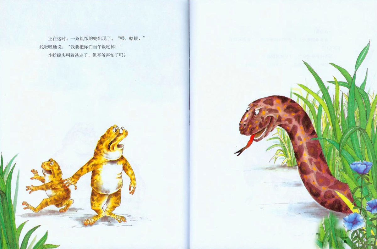 蛤蟆爷爷的秘诀 (03),绘本,绘本故事,绘本阅读,故事书,童书,图画书,课外阅读